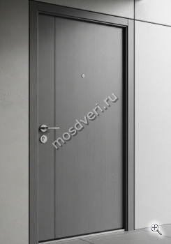 Дизайнерская входная дверь в квартиру серого цвета - купить от производителя Мосдвери Дизайнерская входная дверь в квартиру серого цвета