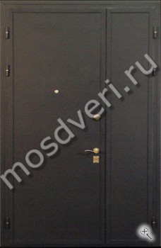 Двустворчатая дверь с порошковым напылением - купить от производителя Мосдвери Двустворчатая дверь с порошковым напылением